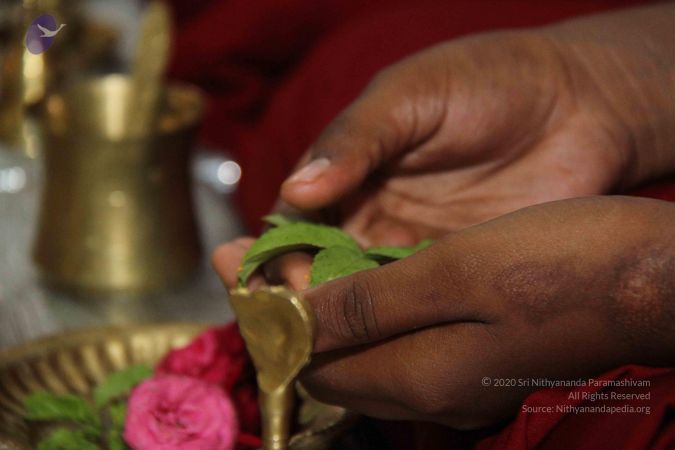 20130921 Photo 1043 1wpDYIlM6ydJajOyg9lQGYyYn b2MM2AK.JPG