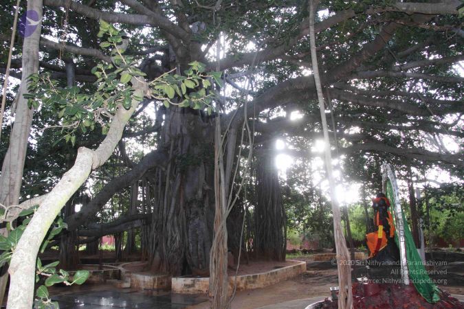 20130927 Photo 1102 1Zphrc2IUP0ZeiYzRXTw hv612K4Lxz7J.JPG