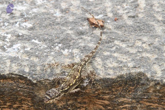 20130930 Photo 1003 1Y2GdWC9dINIappp5oc7GF9Ch6nKP4bUQ.JPG