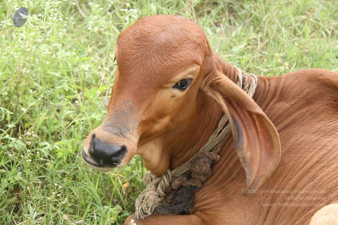 20130930 Photo 1005 1nXSHcyNc9 iOo2ni1A OVh1H0Z0r31LK.JPG