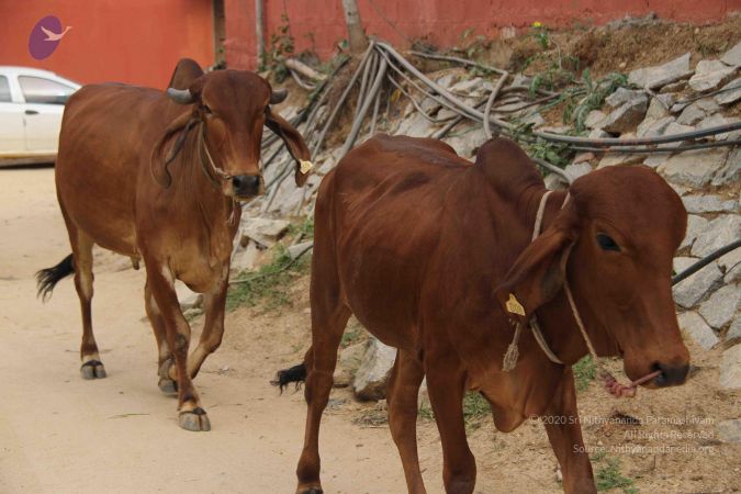 20130930 Photo 1011 1Pq1aSYoP5AqMBvzRNjoRuL6RWKuSZhHQ.JPG