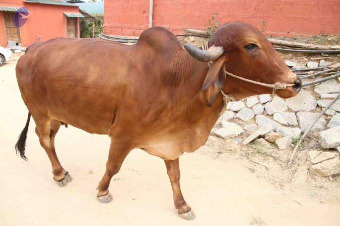 20130930 Photo 1014 1GqOgYg5Kd4VJKKBaJP8Bi6ru5nfGc1mZ.JPG