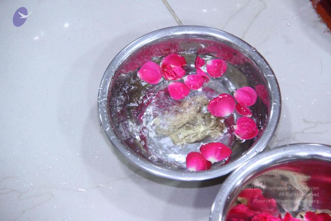 201309AF Photo 1015 1HS2Q9hoP2G6XcDV58I96j-jDKaWh 4Wt.JPG