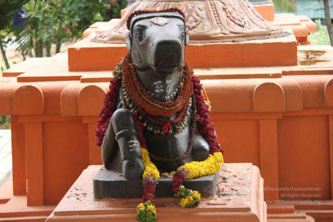 201309AF Photo 1112 1IR5zaPbOGpB7wIBQEG5PcgD RmTlTllt.JPG