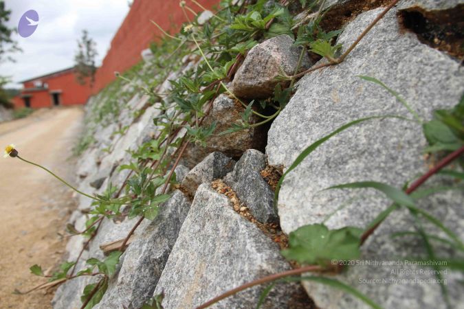 201309AF Photo 1133 19TrVrn57hmqTqFdbPZsowObJS8Uh2fEb.JPG