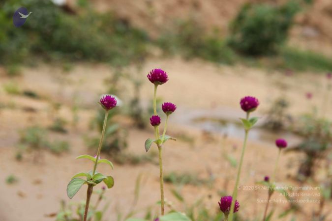 201309AF Photo 1139 1CCqiqLa121 0nYR305138P1nET-EHac3.JPG