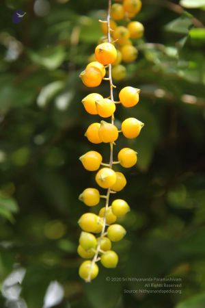 201309AF Photo 1141 1CgyrsvmeoehZDvpY4hjxFgTg3OfTVMqP.JPG