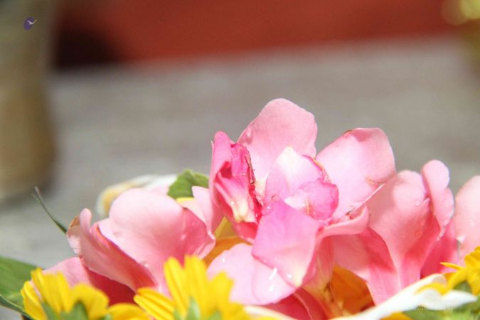 20131003 Photo 135 1sIdLN7fSsBdTreRs8cYMXADO3xn4U nv.jpg