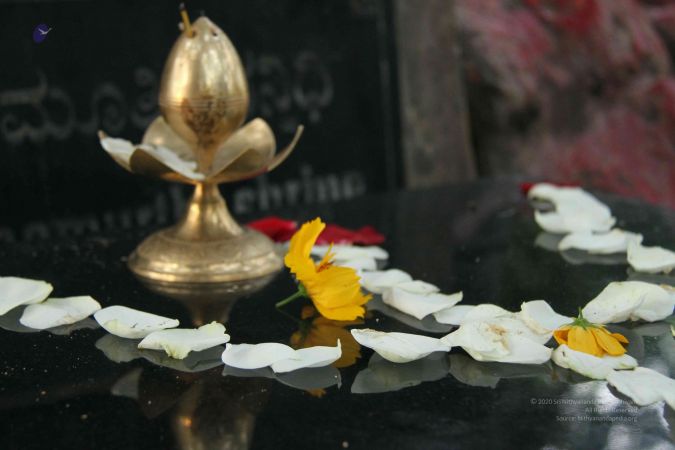 20131003 Photo 221 18odjpbSoxooonwDho7BZL6pmlKmRYhX4.jpg