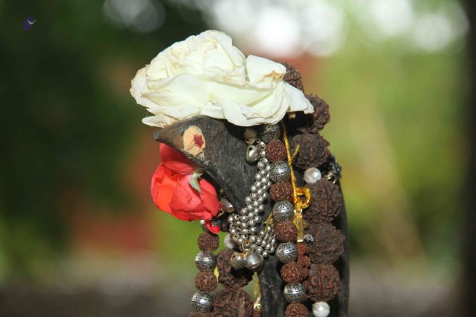 20131003 Photo 225 1FS8V2cwzVs4vzzT9DnMEsj8AjI6oj1n6.jpg