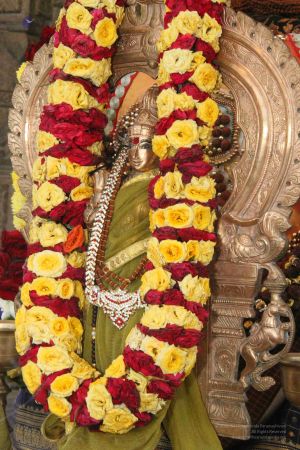 20131003 Photo 233 1cLYAmx4zyRnonaIyoFmFnk0GL9hhAhMW.jpg