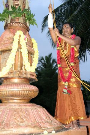 20131005 Photo 365 1z3 X 97oZ3riJK4EDrLML2OpCLYulE37.jpg