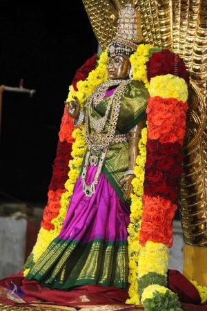 20131006 Photo 1346 18JUpeCmu-auVH7ckfCKC4E6xeBppYEPv.JPG