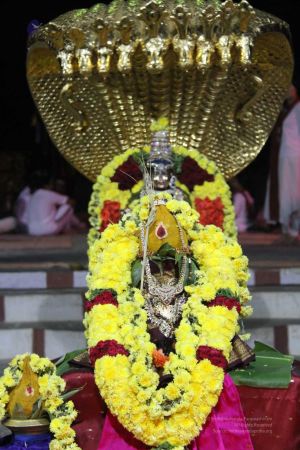 20131007 Photo 402 1RE5NWR63Z5Hac0pOlMFdQFCGK3fwD0Uf.jpg