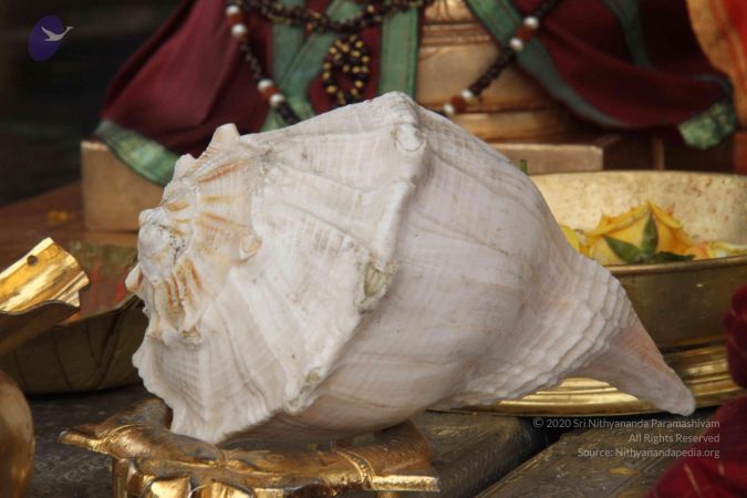 20131009 Photo 1092 1q9kBlJ0Iz7rkgArK0XERW9eZL8Fqgh-L.JPG