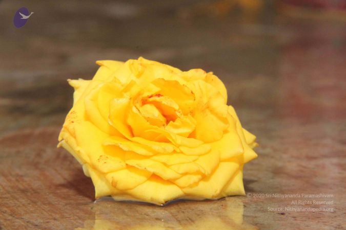 20131009 Photo 1097 1tqGOgblboa0NLSsB74LWC7t4T2TUZ7FM.JPG