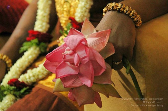 20131012 Photo 136 178VNGNc0GdoDMNPcAe0jiXMy2gMHPvuO.jpg