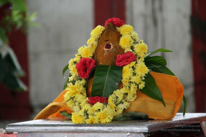 20131012 Photo 252 1wA6H7wizs5VRugNovfQTH4MdxZvzTF8P.jpg