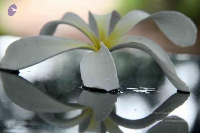 20131022 Photo 1127 1LGrT3rLpBxswjA3edSGmRjDZP44R0Cs7.JPG