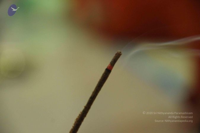 20131026 Photo 1017 1xNVF~GW8qj5dfD4DfVQRhoZDix3a9Gd.JPG