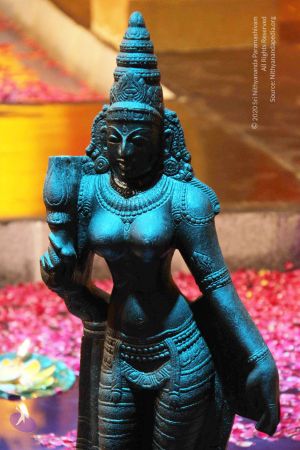 20131026 Photo 1140 1kfaqfd96hQ04YviVWBv1MqLQ53xqm9Mh.JPG