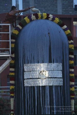 20131028 Photo 107 19RsnOmvvtJRfg8gJHno7t6nn5A5wKWBl.jpg