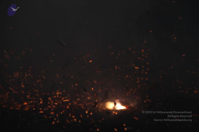 20131102 Photo 2306 1qcBIYPI3JpbzP8X8LQ8idHLRfARoglUg.JPG