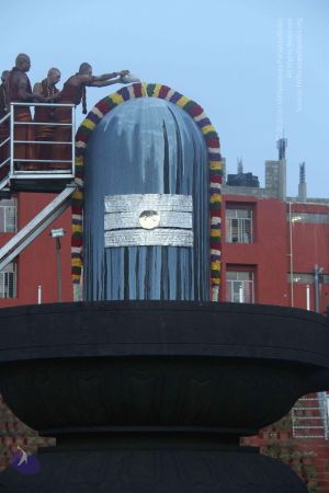 20131104 Photo 1029 1gGSfiYXlwvbTYaEpOXftsTiEeB7prxpc.JPG