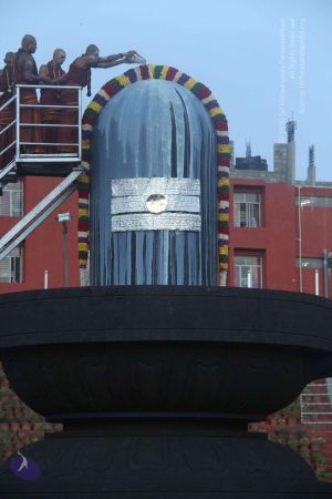 20131104 Photo 1030 1hR7v1XyJVnc-whtDIdyeLhhC9KnL5XEK.JPG