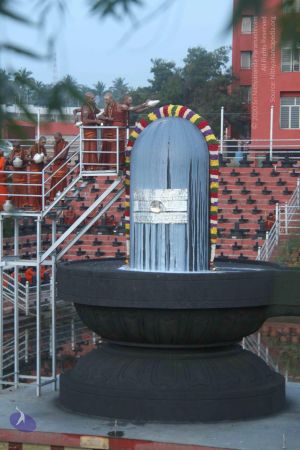 20131104 Photo 1057 1KvTfEnhzTrc-2h5y4OiT6OM-9RNFUxvD.JPG