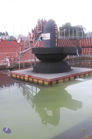 20131104 Photo 1143 1yQfYqejHg Z6SUgyUhscyd7KU gzl0Oa.JPG