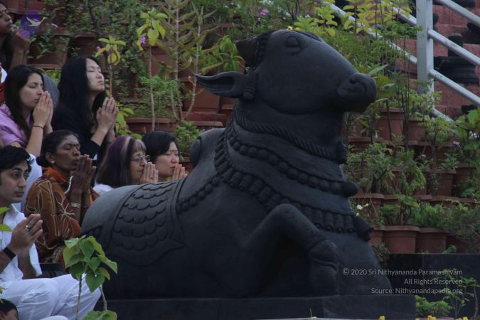 20131104 Photo 1160 1Oum3KmwD9mj478d4q7xknYQFvNl9hofO.JPG