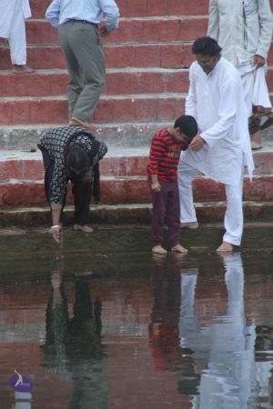 20131104 Photo 1168 190JB1SijO5Koo1LBlIYJ5iR8jr1NExCy.JPG