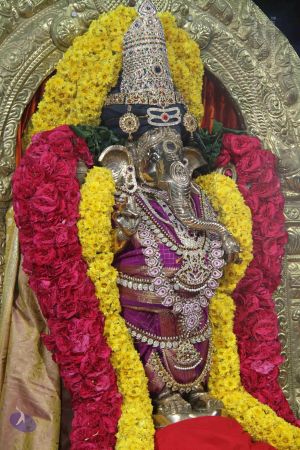 20131104 Photo 1487 1bjskVprDC1BFE629rxQbgP7YM-VMx984.JPG