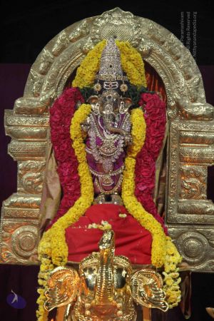 20131104 Photo 1571 1AUJhYBIykv8KpLSMfCh0Nu7OTEoRYVmK.JPG