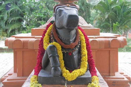 20131105 0206 CMP WM.jpg