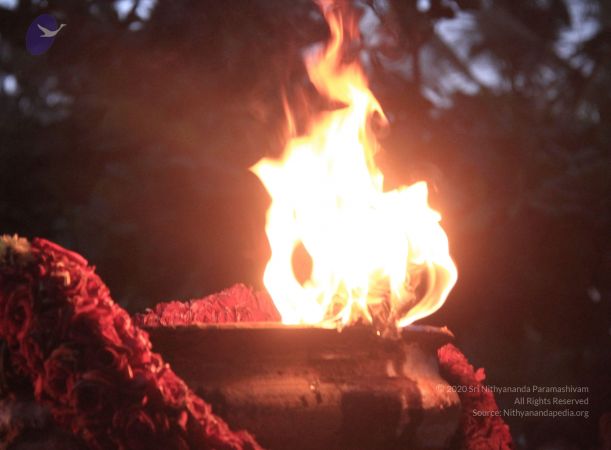 20131117 Photo 1106 1GiRArM5uWSZaPdh 5xWT5tEFl-NP8xbV.JPG