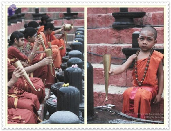 20131118 Photo 1043 1TrWPYs4U06plo9NZpj74XRv0L69fqxhP.JPG