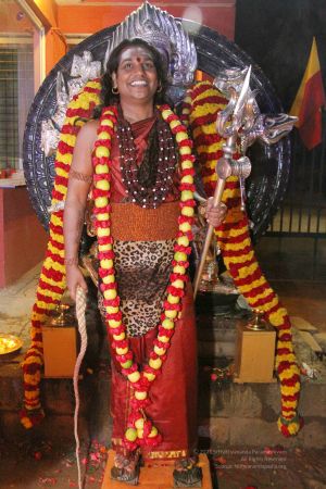 20131125 Photo 1465 1pFTjpbXaIE8rOUJDYfctgwSyaAJZamZz.JPG