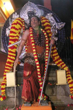 20131125 Photo 1507 17zUbigYUZWZxWnUSu7 HJhxN8TUHET3y.JPG