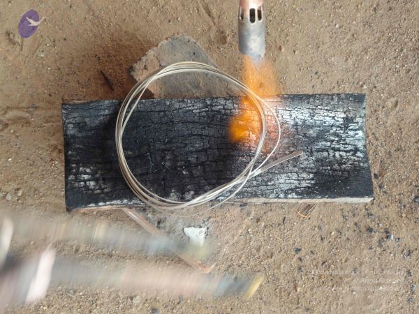 20131129 Photo 1095 1AYgIZqMJ8cYGHBUdLzDh6Jp9NdPwE5xg.JPG