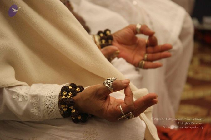 20131201 Photo 1123 1- Z4C0mE3avmr5LfTvuKtgb2MH0SxehA.JPG