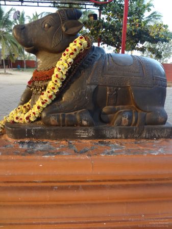 20131206 Photo 1008 1iqhYWgf32xbKjF6KhI-MmUJgqNgpfKbz.JPG