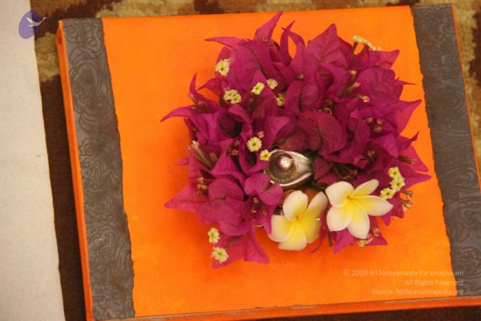 20131206 Photo 1071 1bXIFMxt-tfjOPoMO-xEI9w0yEjBd8ewh.JPG