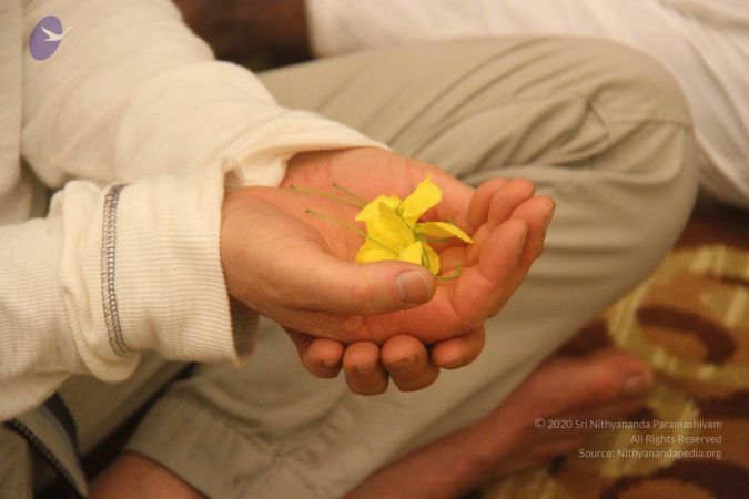 20131206 Photo 1078 1L4VYQIDfnvDSQwcvcZ4COr9T1xzlkNAw.JPG