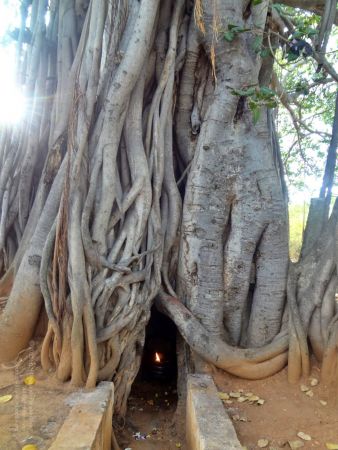 20131207 Photo 1004 1vk7T9NnL5f1-n7OqAhS78veG6XRDW- 8.JPG