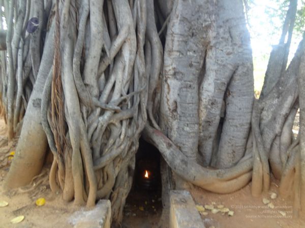 20131207 Photo 1019 1PdSaF3jsnW33xclkzIaU3XMz9DkFZWVR.JPG