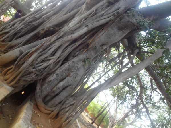 20131207 Photo 1021 1lIH-NW4v-o7vmmlIh155yb2q-ZwHWFZz.JPG