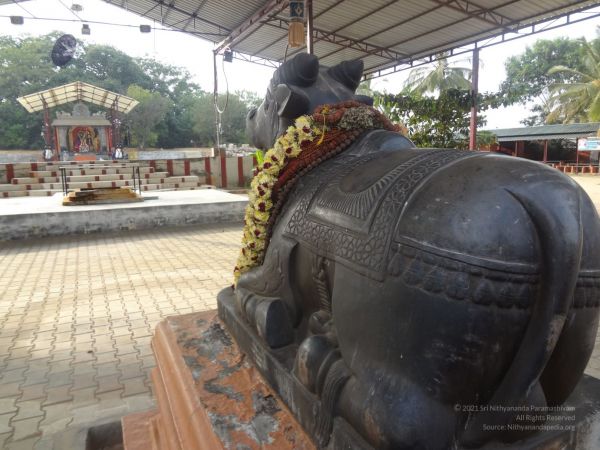 20131207 Photo 1041 1ObVkoUR AGUuloSVxtTjGypork-zTePe.JPG