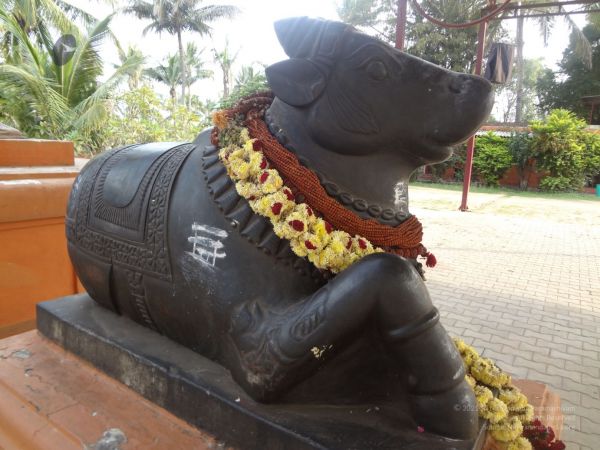 20131207 Photo 1045 1UQWRA7Mqfk3agxKHYE03t5hqtHWN r R.JPG